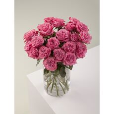 Роза Contry blue