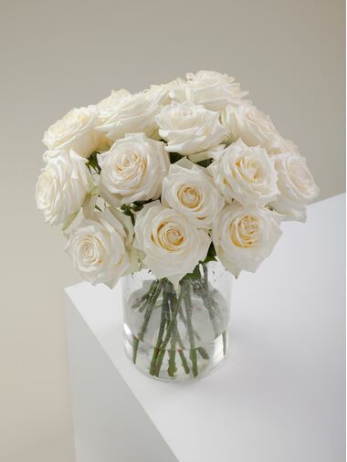 Роза Candlelight