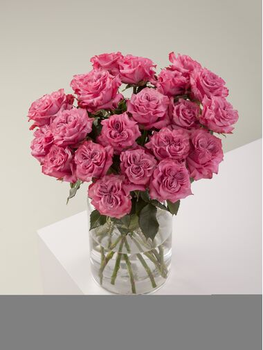 Роза Contry blue